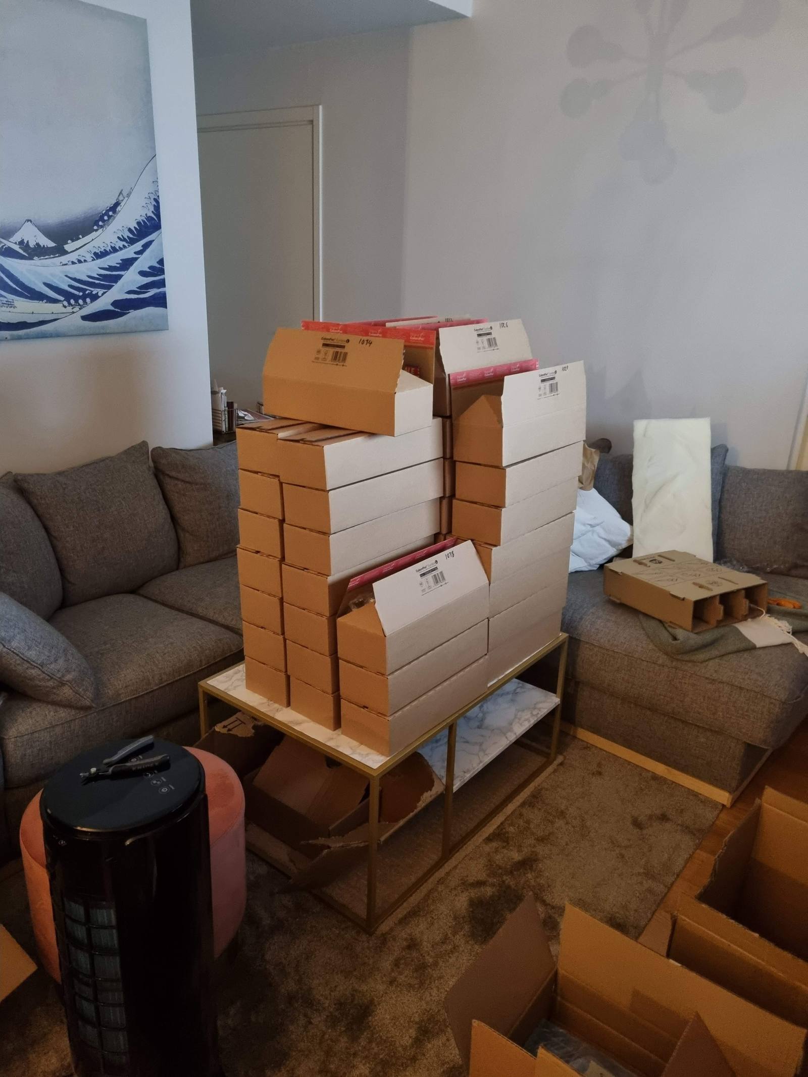 Neito packages filling up the whole living room table
