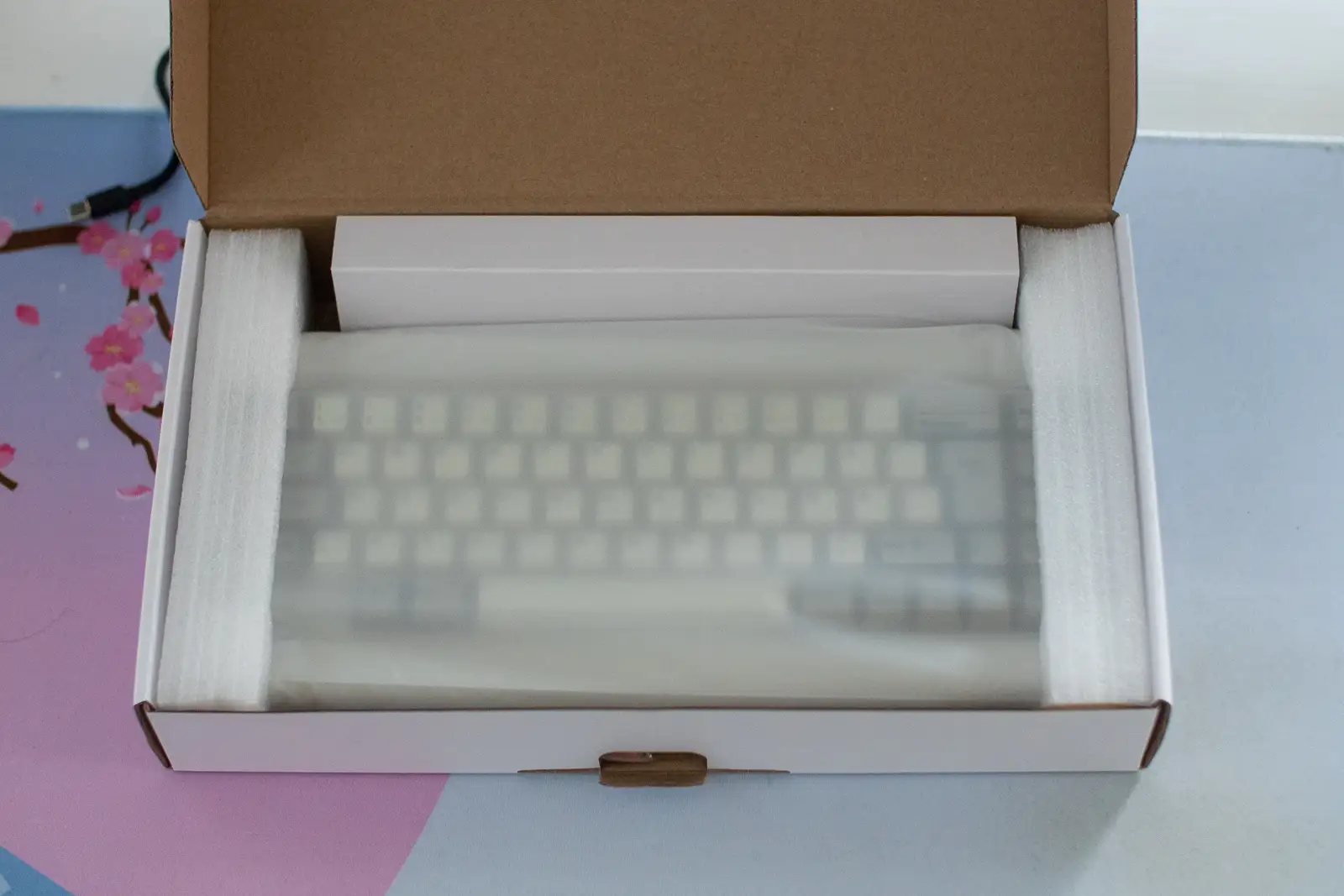 Vortex PC66 keyboard box opened