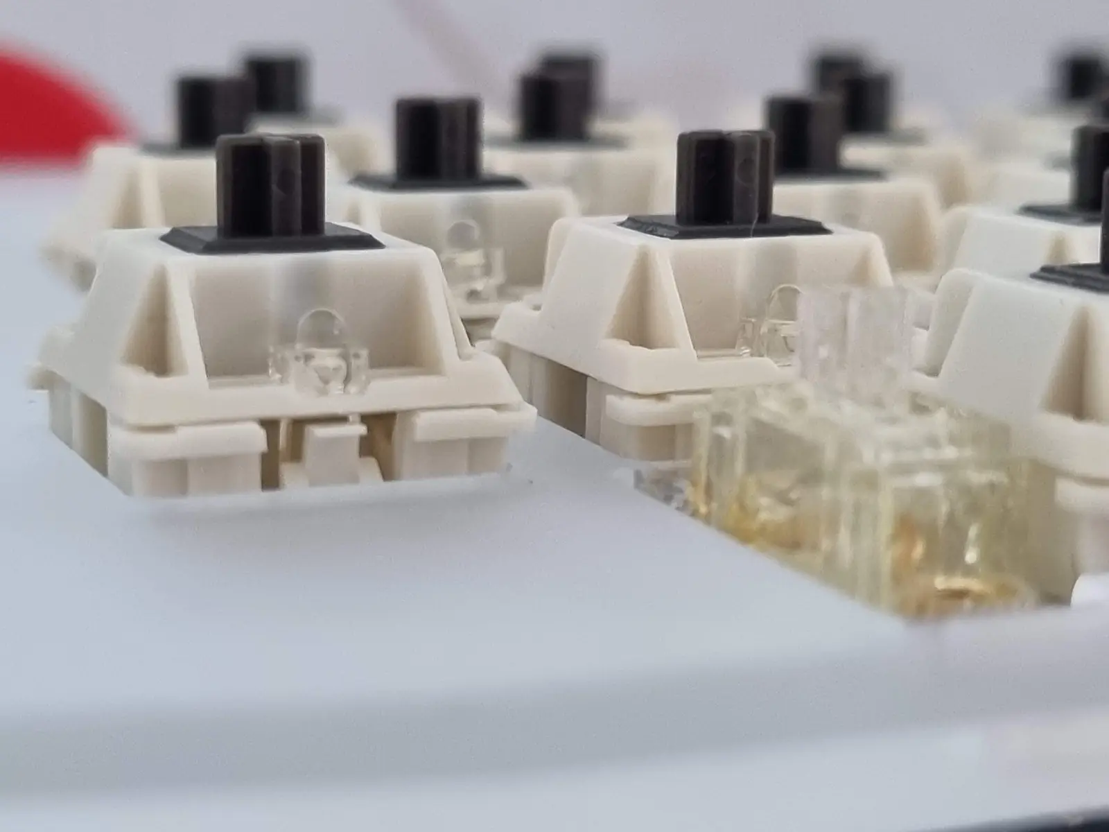 Installed mechanical keyboard switches with LEDs