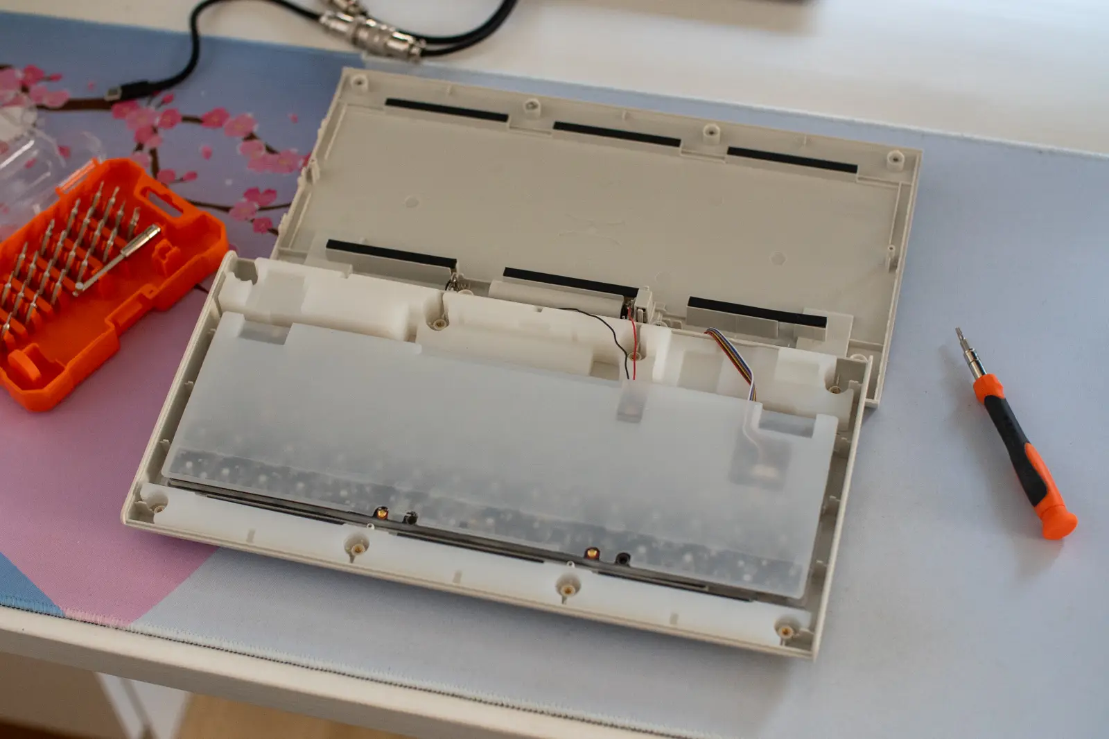 Vortex PC66 with backside opened with a small screwdriver