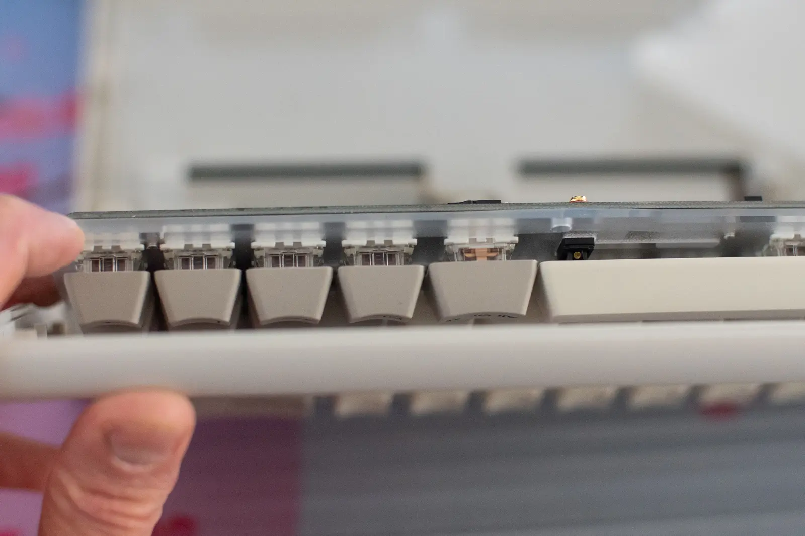 Vortex PC66 keyboard PCB and plate from a side view