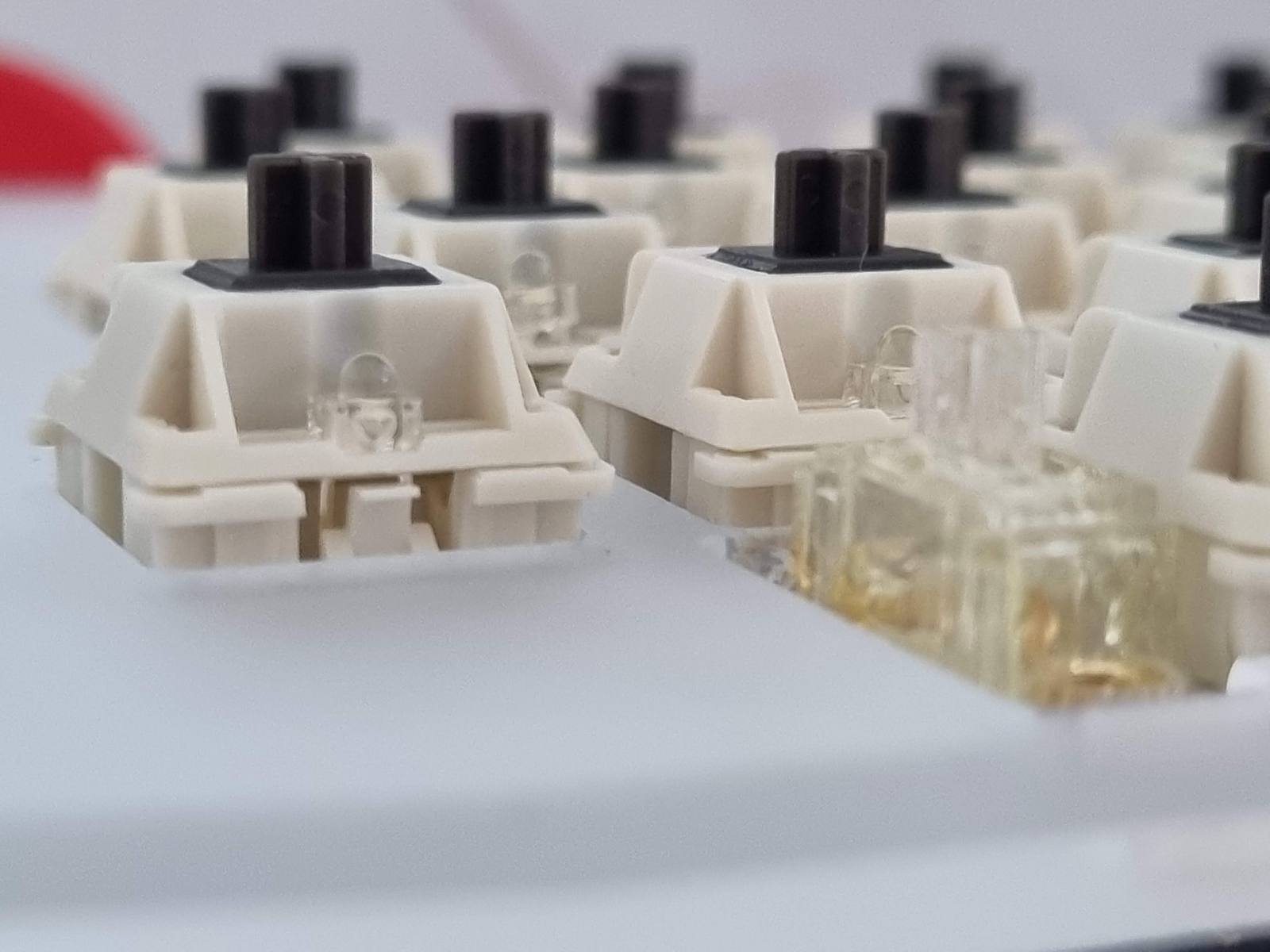 Installed mechanical keyboard switches with LEDs