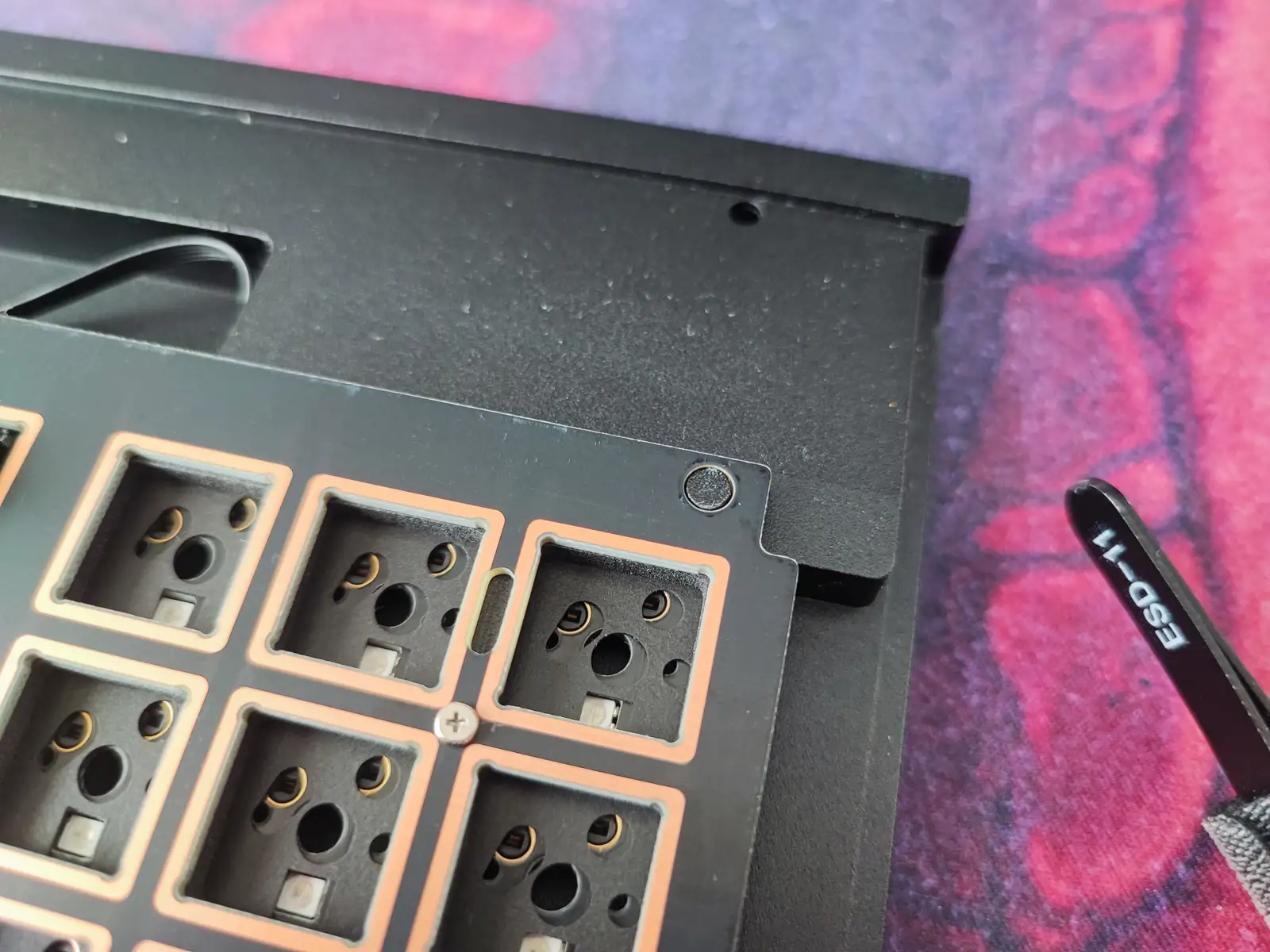 Alignment pin for the plate
